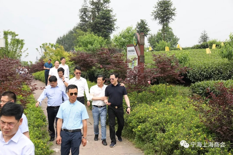 联商联谊，共谋发展